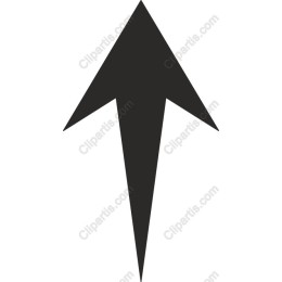 Dynamic Black Arrow