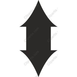 Elegant Arrow