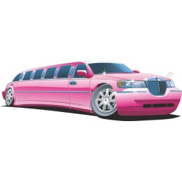 Glamorous Pink Limousine