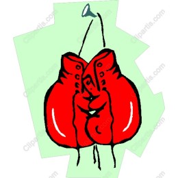 Red Boxing Gloves