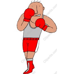 Dynamic Boxer