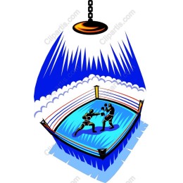 Dynamic Boxing Ring