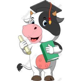 Graduating Cow