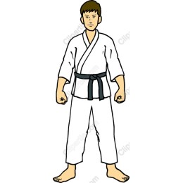 Martial Arts Master
