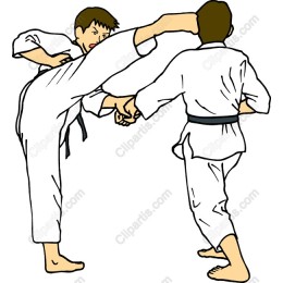 Dynamic Karate Action