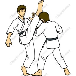 Dynamic Karate Fighters