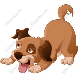 Playful Puppy