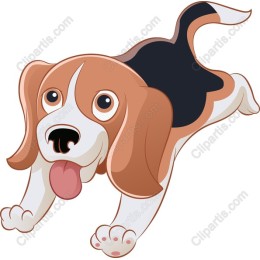 Adorable Beagle