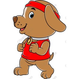 Cheerful Puppy in Sports Gear