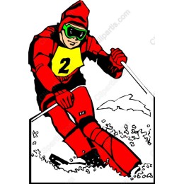 Dynamic Skier