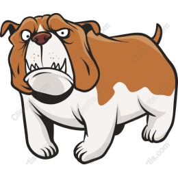 Bulldog Cartoon