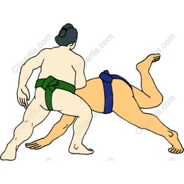 Dynamic Sumo Wrestling