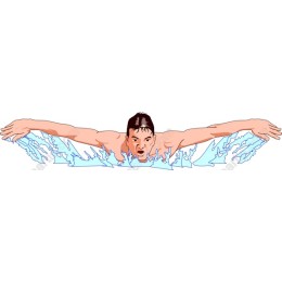 Dynamic Swimmer