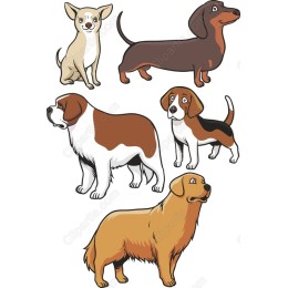 Adorable Dog Set - Bundle