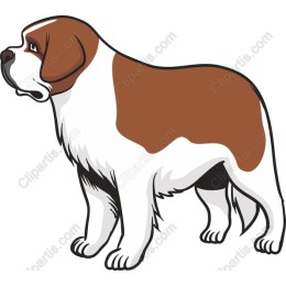 Saint Bernard
