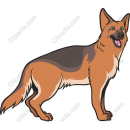 Vibrant German Shepherd