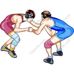 Wrestling Action