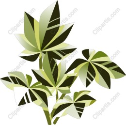 Lush Green Leaf