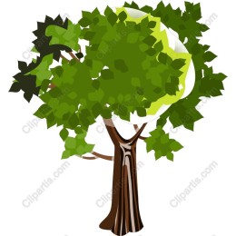 Leafy Tree