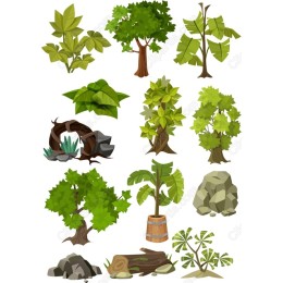 Nature Clipart Bundle - Trees, Leaves, and Natural Elements