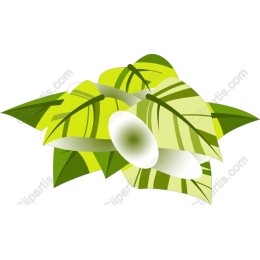 Vibrant Green Leaf