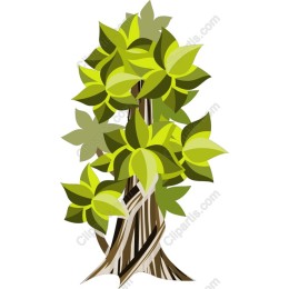 Lush Green Tree