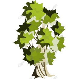 Vibrant Green Tree