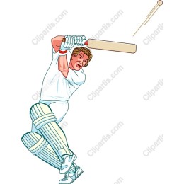 Dynamic Cricket Player