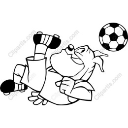 Playful Soccer Dog