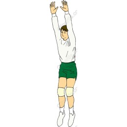 Dynamic Volleyball Player