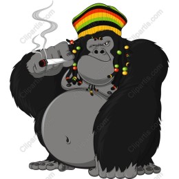 Reggae Gorilla