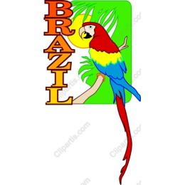 Brazilian Parrot Paradise
