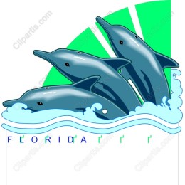 Florida Dolphin Delight