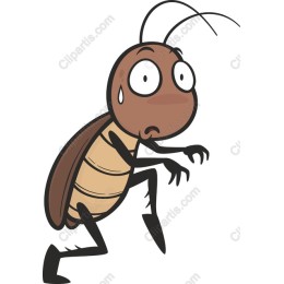 Signature Scared Cockroach