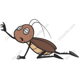 Cartoon Cockroach