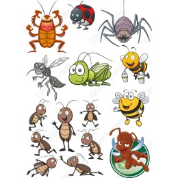 Insect Characters Bundle