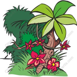 Tropical Paradise