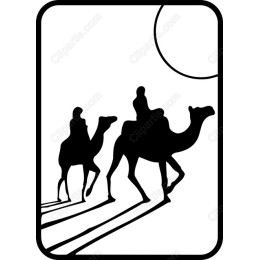 Desert Journey Camel