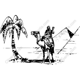 Camel Rider in Desert