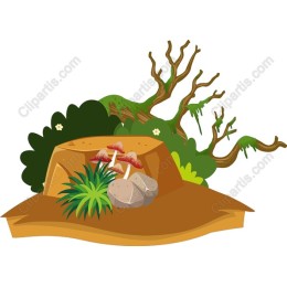 Lush Nature with Mushrooms and Rocks