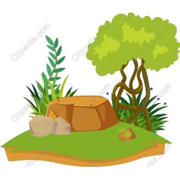 Lush Greenery Landscape Scene
