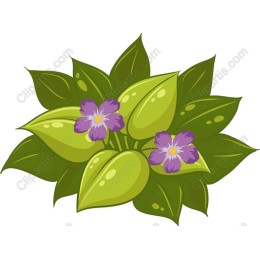 Lush Green Leaves and Purple Flowers