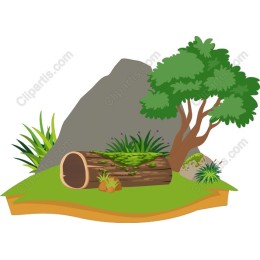Lush Woodland Scene