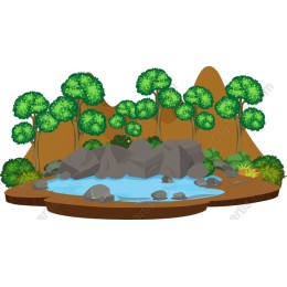 Serene Nature Pond