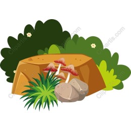Nature's Embrace: Rock and Mushroom