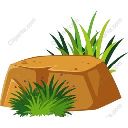 Lush Greenery Rock