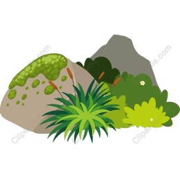 Lush Rocks and Greenery