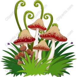 Charming Mushroom Cluster