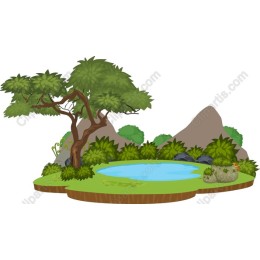 Lush Forest Landscape