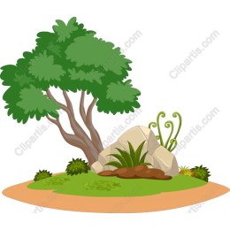 Majestic Tree and Rocks
